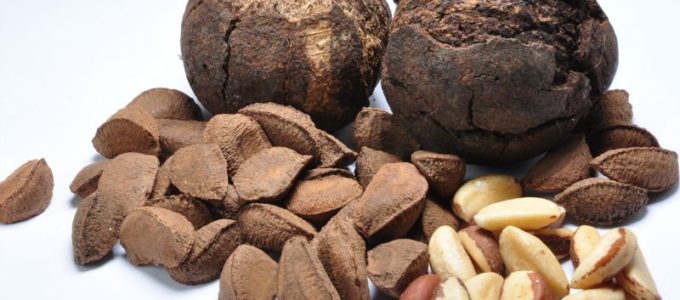 Бразильский орех, полезные свойства, противопоказания